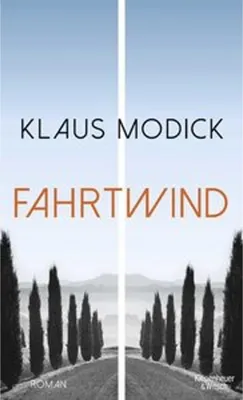 Immagine prodotto di Fahrtwind