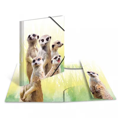 Image de HERMA 19971 HERMA Chemise à rabats Animaux exotiques, A3, troupe de suricates