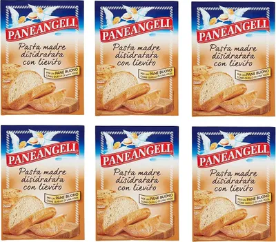 Produktbild von 6x Paneangeli Pasta madre Mutter Pasta mit Hefe dehydriert für Brot bread 30g