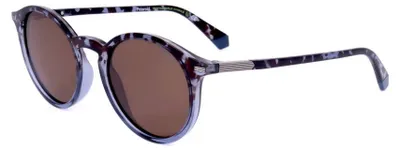 Produktbild von Polaroid Sonnenbrille PLD 2116/S IPR 49 20 145