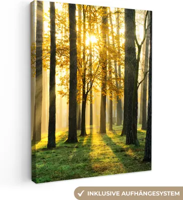 Produktbild von MuchoWow® - Leinwandbilder - Wald - Sonne - Bäume - Gras - Landschaft - Natur, Wandbild, Wanddeko Bilder Wohnzimmer, 90x120cm