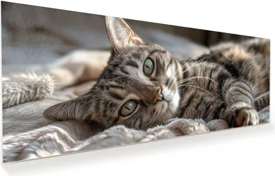 Produktbild von Glasbild 100x40cm in XXL für Wohnzimmer, Schlafzimmer Motiv Gemütliche Katze