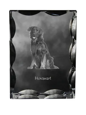 Immagine prodotto di Hovawart: cristallo con foto di un cane, statuetta in vetro con foto, cornice unica con foto, marchio Art-Dog