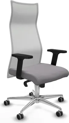 Produktbild von Bürostuhl Piqueras y Crespo B2D086G Grau