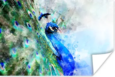 Produktbild von MuchoWow® Poster Aquarell - Pfau - Blau 120x80 cm - Bilder