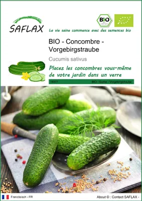 Image de SAFLAX  -- Concombre - Vorgebirgstraube  - 15 graines - Cucumis