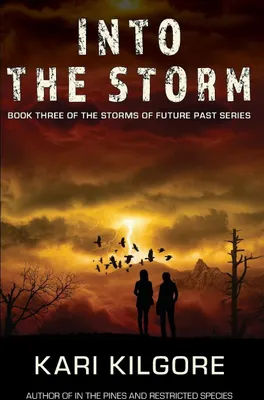 Produktbild von Into the Storm