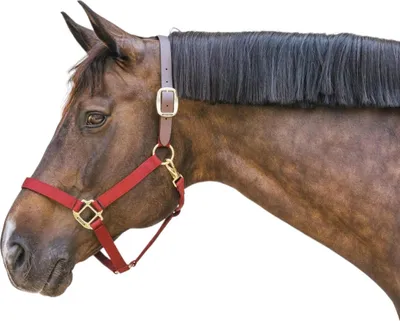 Immagine prodotto di Cavezza di nylon a strappo Kentucky Horsewear