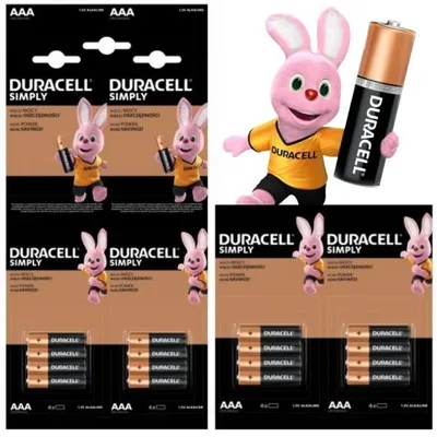 Immagine prodotto di Batterie alcaline DURACELL Basic AAA LR03 16 pezzi