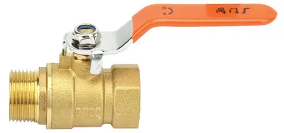 Immagine prodotto di Valvola a sfera per tubi in ottone, con filettatura esterna e interna da 3/4" BSP, DN20