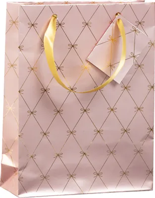 Produktbild von Clairefontaine 5x Mittelgroße Geschenktasche, Primerose, 17x6x22 cm Rosa 212909C