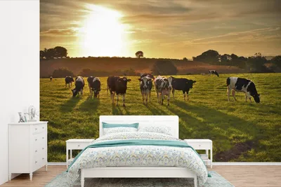 Produktbild von MuchoWow® Fototapete für Wohnzimmer oder Schlafzimmer Wandtapete Vinyl Motivtapete Kühe - Sonne - Licht - 420x280 cm - Zimmer für Kinder