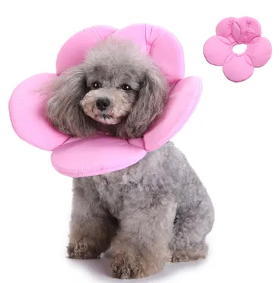 Produktbild von Genesungskragen für Hunde und Katzen, OP-Schutzkragen für Hunde, Hundeschutzkragen (rosa Blume), Größe L