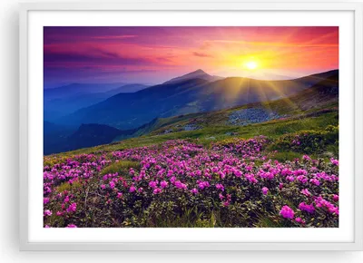 Produktbild von Gerahmtes Poster - Weißer Rahmen - Wiese Berge Landschaft - 70x50 cm - Wand Bild - Wanddeko - Wandbilder - Kunstposter - Wandposter - Bilderrahmen - Bilder - Kunstdruck - Wandbild - P2WAA70x50-2676