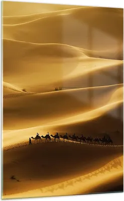 Produktbild von Bilder auf glas - Einteilig - Afrika Sahara Kamel Landschaft - 70x100cm - Glasbilder - Wandbilder - Bilder - Wanddekoration aus Glas - Glas Bilder - Wandbild auf Glas - GPA70x100-0338