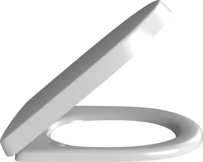 A white toilet seat and lid are shown in an open position against a white background.