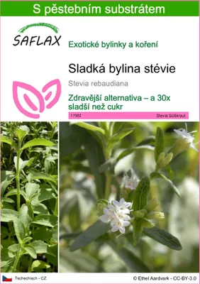 Obrázek produktu pro SAFLAX - Sladká bylina stévie - Stevia rebaudiana - 100 Semena - S pěstebním substrátem bez klíčků