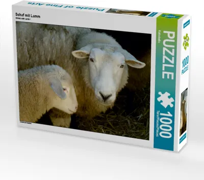 Produktbild von Calvendo Schaf mit Lamm 1000 Teile Puzzle quer 640x480mm, CALVENDO; 7312175