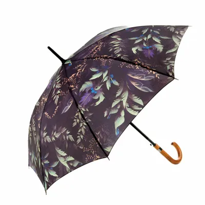 Produktbild von Mary Sam's Stockregenschirm Regenschirm Ø 103cm für Frauen, Länge 88cm, Automatische Öffnung, Stockregenschirm Damen, Stockschirm Sturmfest