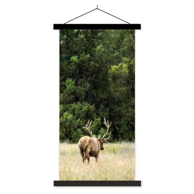 Produktbild von MuchoWow® Textilposter Hirsche - Gras - Wald 90x180 cm mit schwarzem Rahmen - Dekoration Wohnzimmer