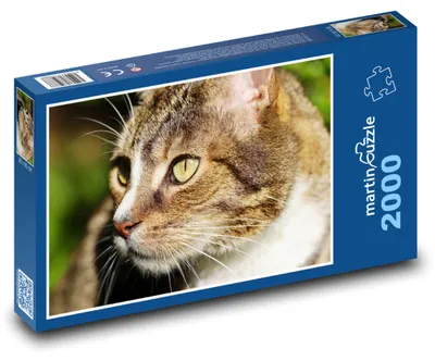 Obrázek produktu pro Puzzle 2000 Kočka v Přírodě - martinpuzzle