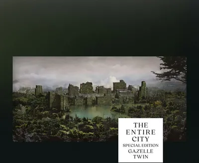 Zdjęcie produktu dla The Entire City (Edycja specjalna 2CD)
