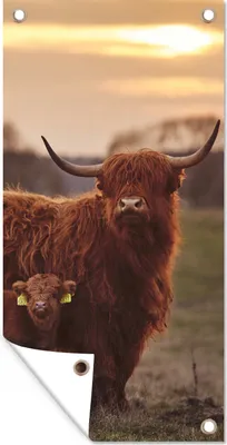 Produktbild von MuchoWow® 30x60 cm Outdoor-Poster Gartendeko Sichtschutz Garten Poster für den Garten  Schottische Highlander - Tiere - Landschaft - Sonnenuntergang - Kuh