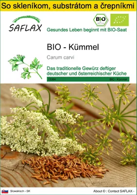 Obrázok produktu pre SAFLAX Kultivačný set - BIO - Kümmel - Carum carvi - 800 Semená - S mini skleníkom, pestovateľským substrátom a 2 črepníkmi