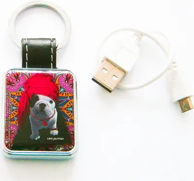 Produktbild von USB-FEUERZEUG Schlüsselanhänger in Box Teo Jasmin Hund Glühspirale Igniter 82(Motiv T)