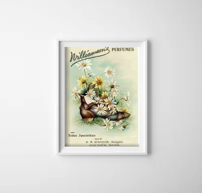 Produktbild von Poster - Canvas - Leinwand - 29,7 cm x 42 cm - Parfüms und andere Williamson