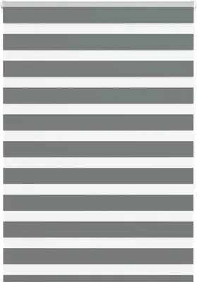 Produktbild von Doppelrollo Dunkelgrau 95x150 cm Stoffbreite 90,9 cm Polyester
