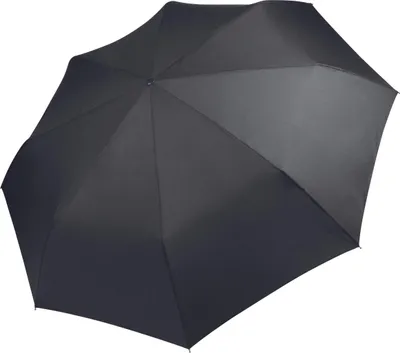 Image de Mini parapluie Kimood en set de 15