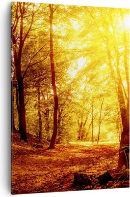 Produktbild von Bild auf Leinwand - Leinwandbild - Einteilig - Wald Baum Natur - 70x100cm - Wand Bild - Wanddeko - Wandbilder - Leinwanddruck - Kunstdruck - Wanddekoration - Leinwand bilder - Wandbild - PA70x100-3722