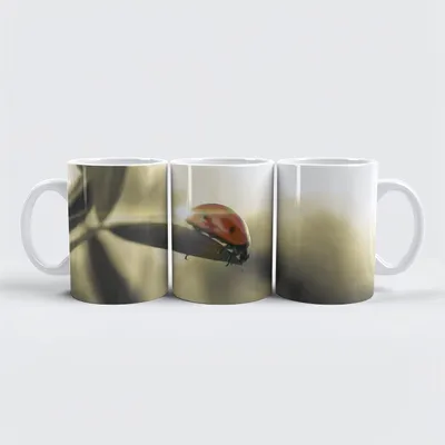 Image de tasse premium raxxa "Coccinelle