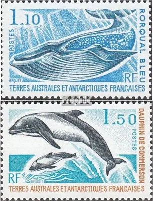 Produktbild von Briefmarken Französ. Gebiete Antarktis 1977 Mi 113-114 (kompl.Ausg.) postfrisch Meeressäugetiere