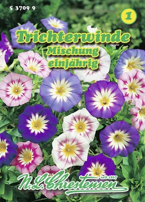 Produktbild von Trichterwinde Mischung  | Windensamen von N.L. Chrestensen