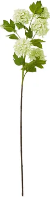 Produktbild von Hill Interiors - Kunstblume Spray HI4808 (Einheitsgröße) (Grün)