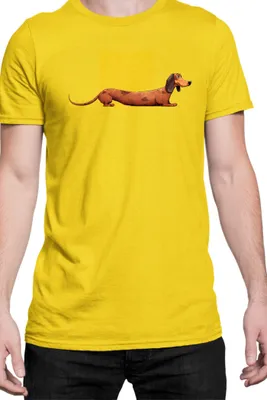 Zdjęcie produktu dla Męska Koszulka Funny Dogs Breeds Dachshund Dog Breed 020, Man M / Żółty