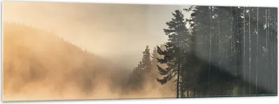 Produktbild von Bilder auf glas - Einteilig - Nebel See Wald - 160x50cm - Glasbilder - Wandbilder - Bilder - zum Aufhängen bereit - Wanddekoration aus Glas - Glas Bilder - Wandbild auf Glas - GAB160x50-4440