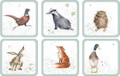 Produktbild von Famanu Untersetzer Set von 6 - Einzigartige Tierdesigns