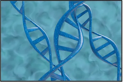 Produktbild von Wallario Wandbild DNA-Strang in blau auf türkisem Hintergrund, Größe: 61 x 91,50 cm, Poster mit schwarzem Aluminiumrahmen