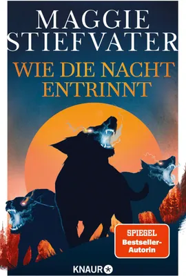 Produktbild von Wie die Nacht entrinnt