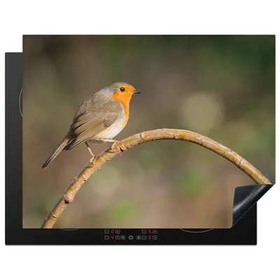 Produktbild von KitchenYeah© Herdabdeckplatte Rotkehlchen - Vogel - Natur , 77x59cm, Küche Deko, Glaskeramikkochfeld Herdabdeckung, Abdeckplatte fùr Kochfeld