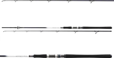 Produktbild von Daiwa Steckrute Grandwave 2.40m 40-100g