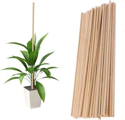 Productafbeelding van Herbruikbare bamboestokken, 40 cm, 45 stuks, plantensteun voor de tuin
