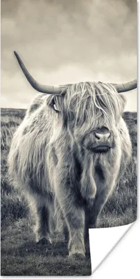 Produktbild von MuchoWow® Poster Schottischer Hochländer - Tiere - Wolken - Kuh - Natur 60x120 cm - Wandschmuck