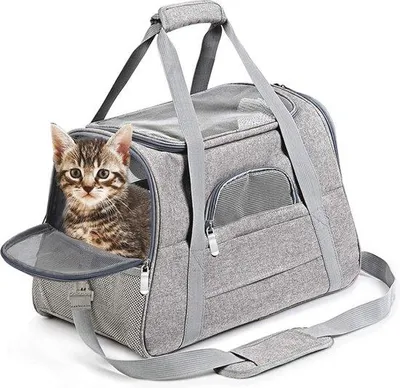 Image de Sac de transport pliable pour chats et chiens, respirant et sûr