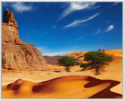 Produktbild von Wallario Wandbild In der Wüste Sahara, Größe: 40,30 x 50,30 cm, Poster mit weißem Aluminiumrahmen
