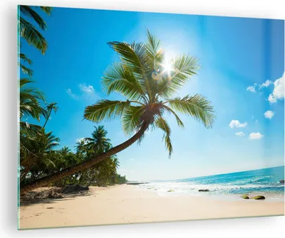 Produktbild von Bilder auf glas - Strand Palme Meer - 70x50cm - Glasbilder - Wandbilder - Kunstdruck - zum Aufhängen bereit - Wanddekoration aus Glas - Glas Bilder - Wandbild auf Glas - Einteilig - GAA70x50-3570