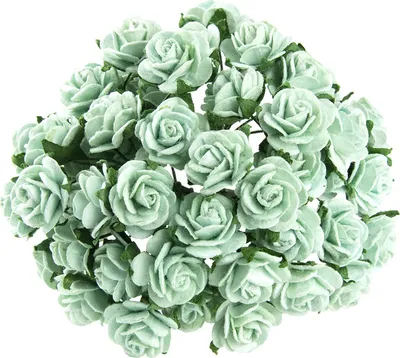 Produktbild von ROSEN Geöffnete 15 mm 50Stk. Scrapbooking Maulbeerpapier Blumen pastell hellgrün